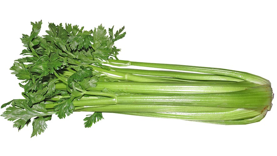 Celery Nutritional Value and 12 Health Benefits