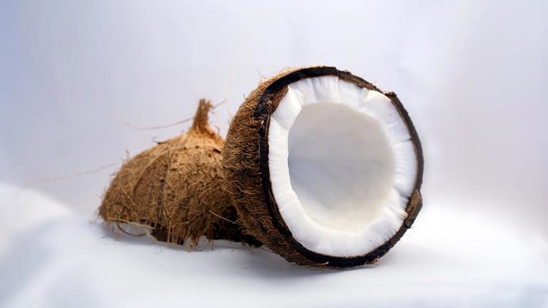 Coconut Nutritional Value and 11 Health Benefits
