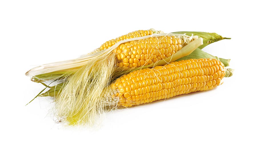 Corn Nutritional Value and 14 Health Benefits